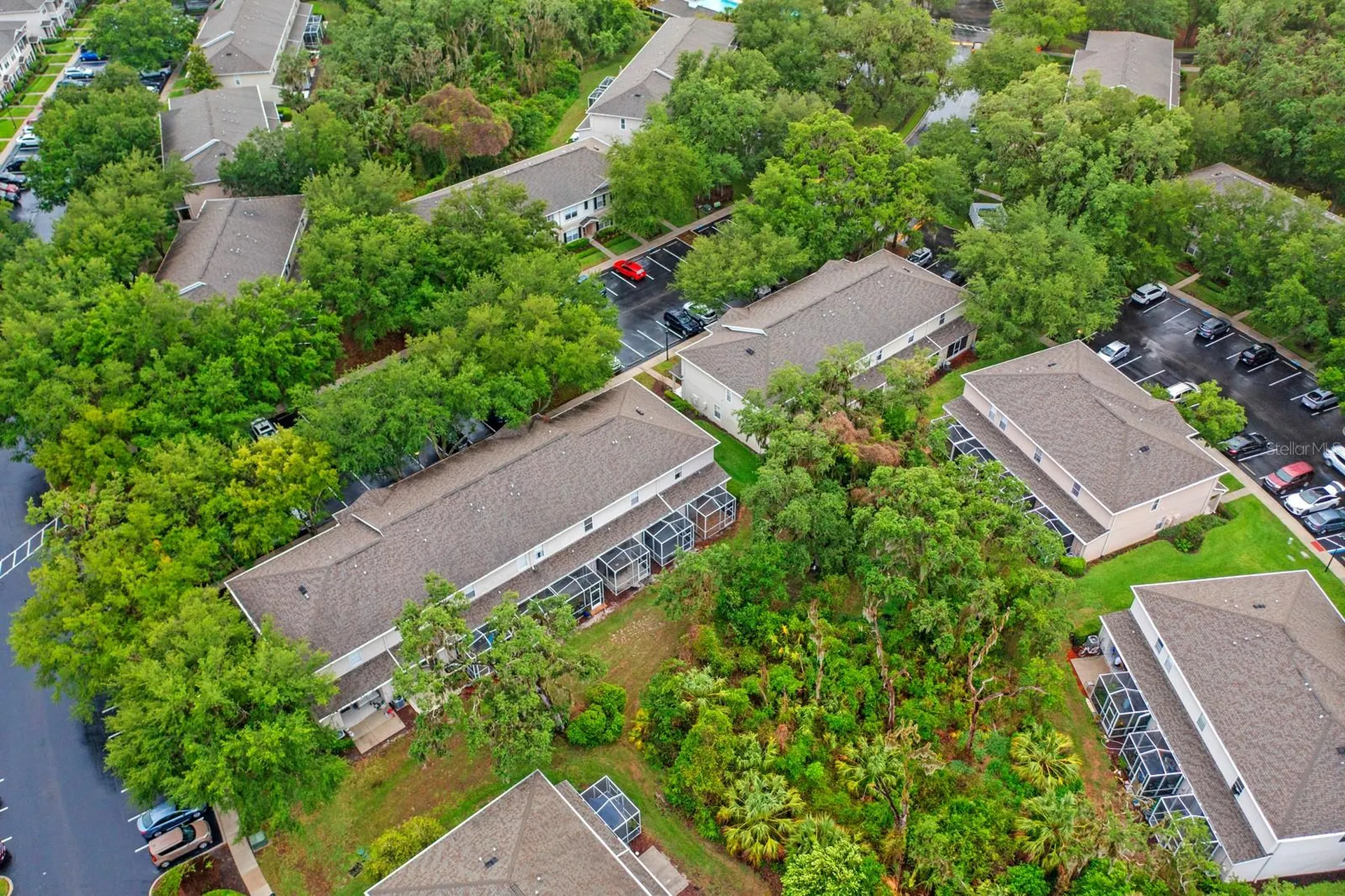15836 Fishhawk Falls Drive Lithia FL 33547