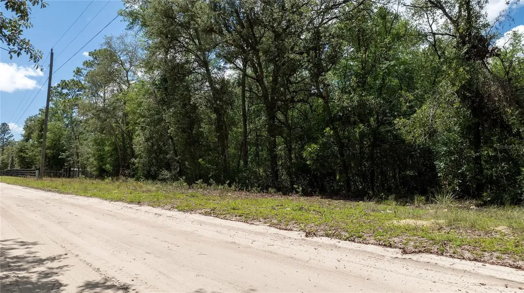 NE 71st Street Bronson FL 32621