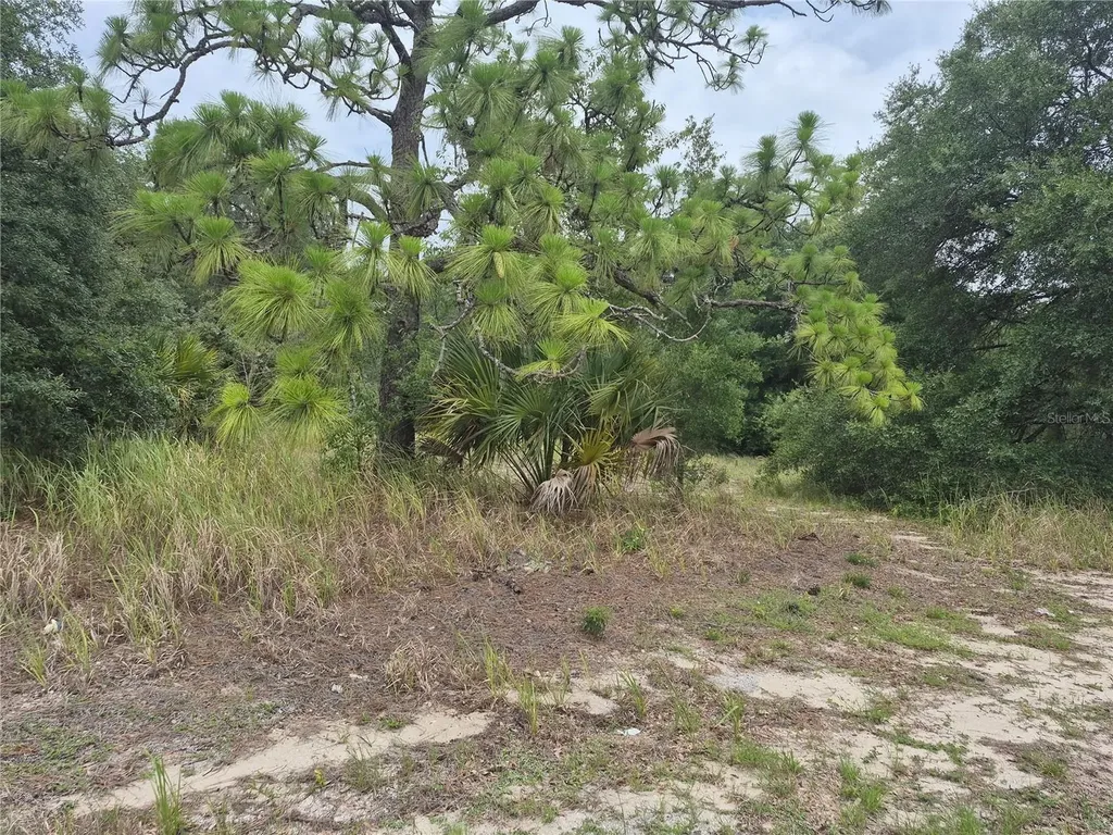 1626 S Us 301 Sumterville FL 33585