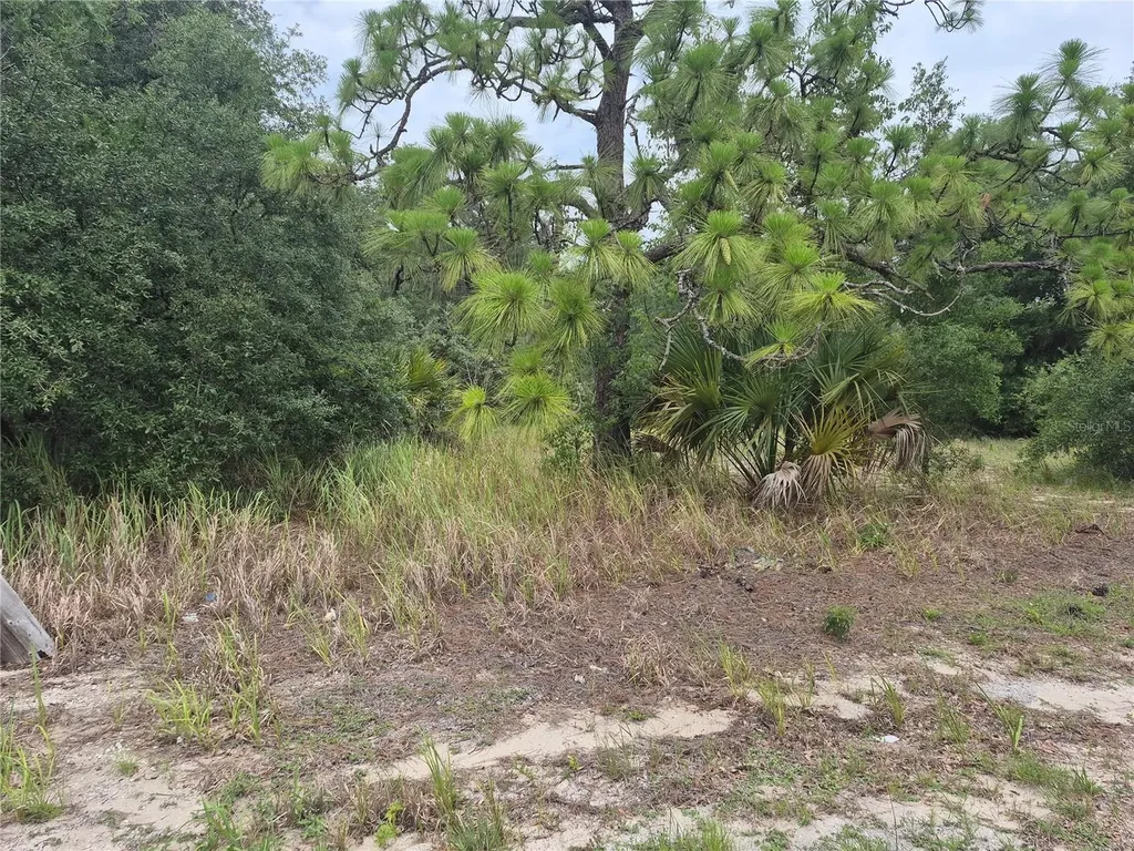 1626 S Us 301 Sumterville FL 33585
