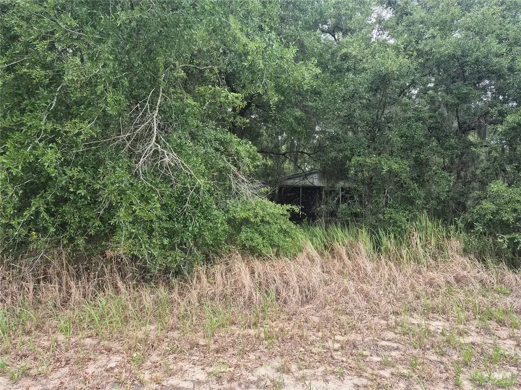 1626 S Us 301 Sumterville FL 33585