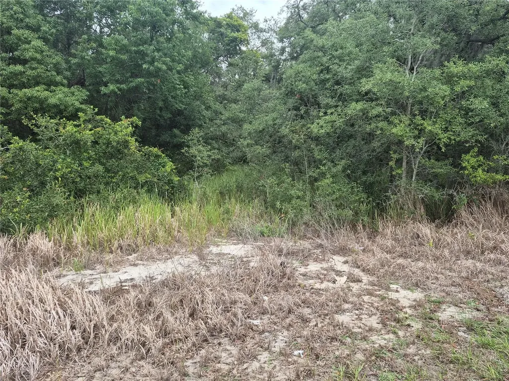 1626 S Us 301 Sumterville FL 33585