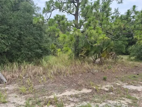 1626 S Us 301 Sumterville FL 33585