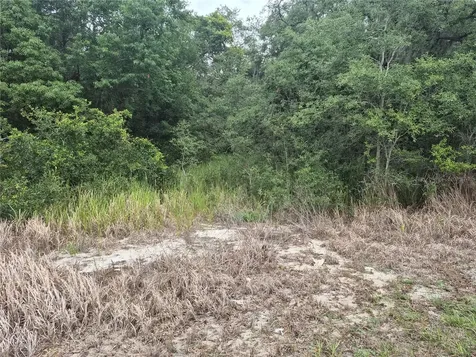 1626 S Us 301 Sumterville FL 33585