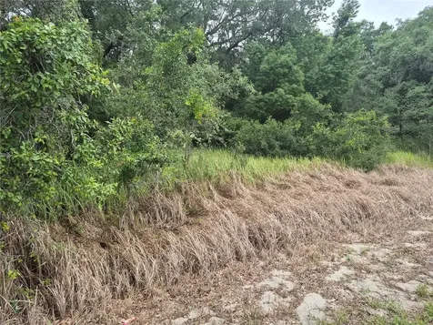 1626 S Us 301 Sumterville FL 33585
