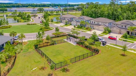 30344 Marquette Avenue Wesley Chapel FL 33545