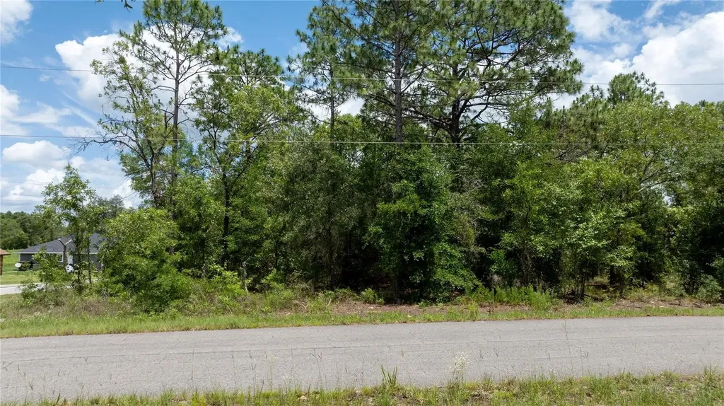 NE 9th Street Williston FL 32696
