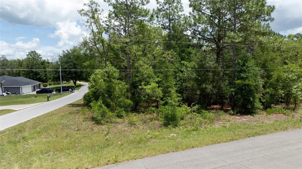 NE 9th Street Williston FL 32696