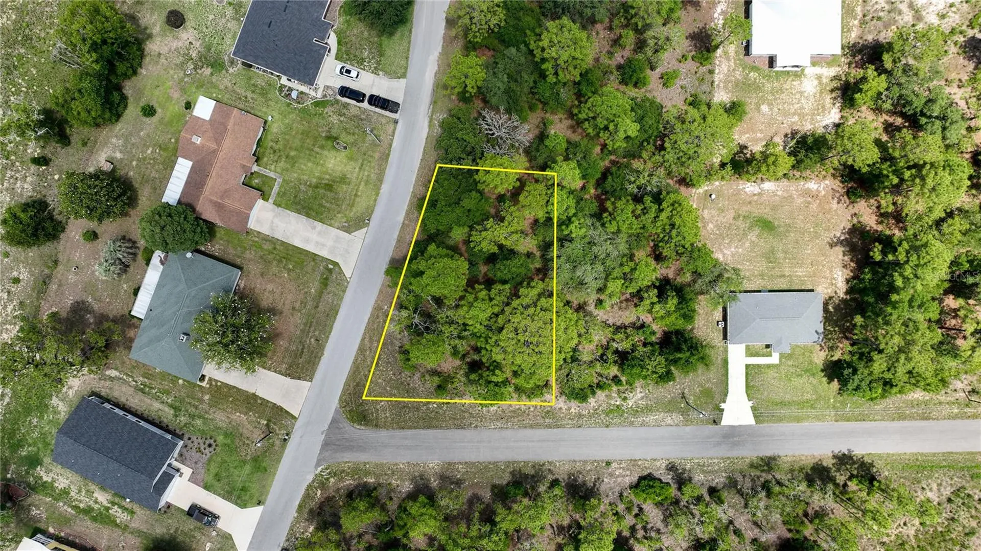 NE 9th Street Williston FL 32696