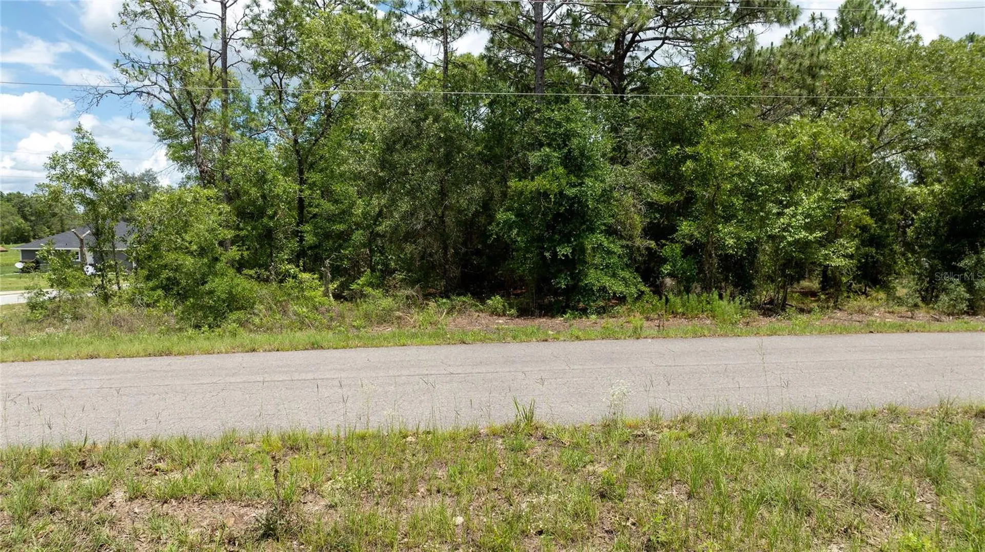 NE 9th Street Williston FL 32696