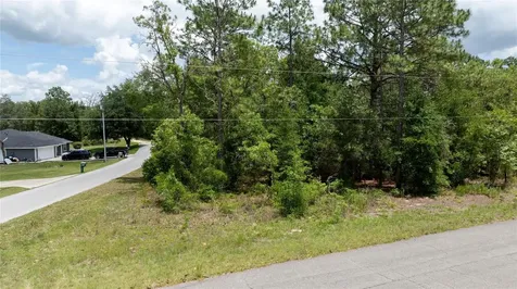 NE 9th Street Williston FL 32696