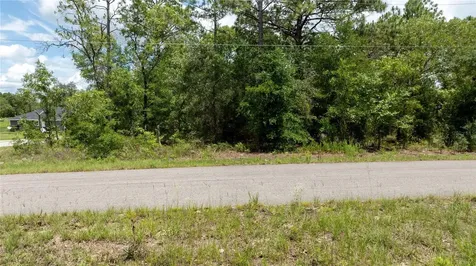 NE 9th Street Williston FL 32696