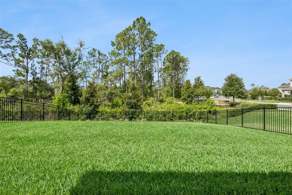 18422 Oliver Twist Way Winter Garden FL 34787