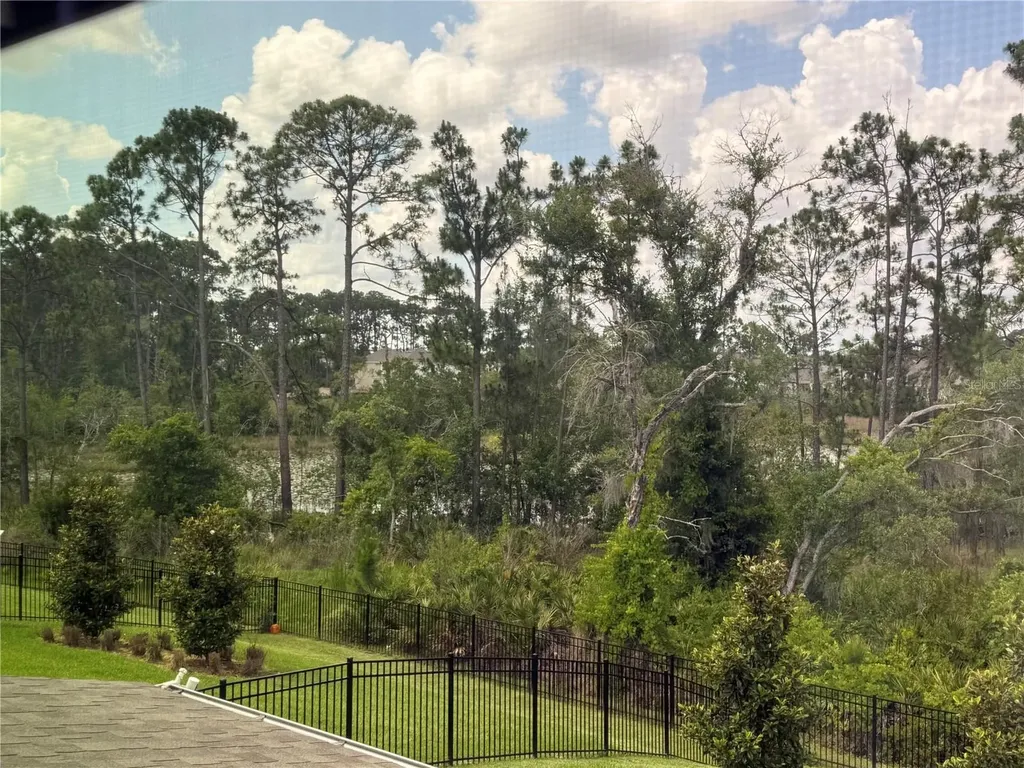18422 Oliver Twist Way Winter Garden FL 34787