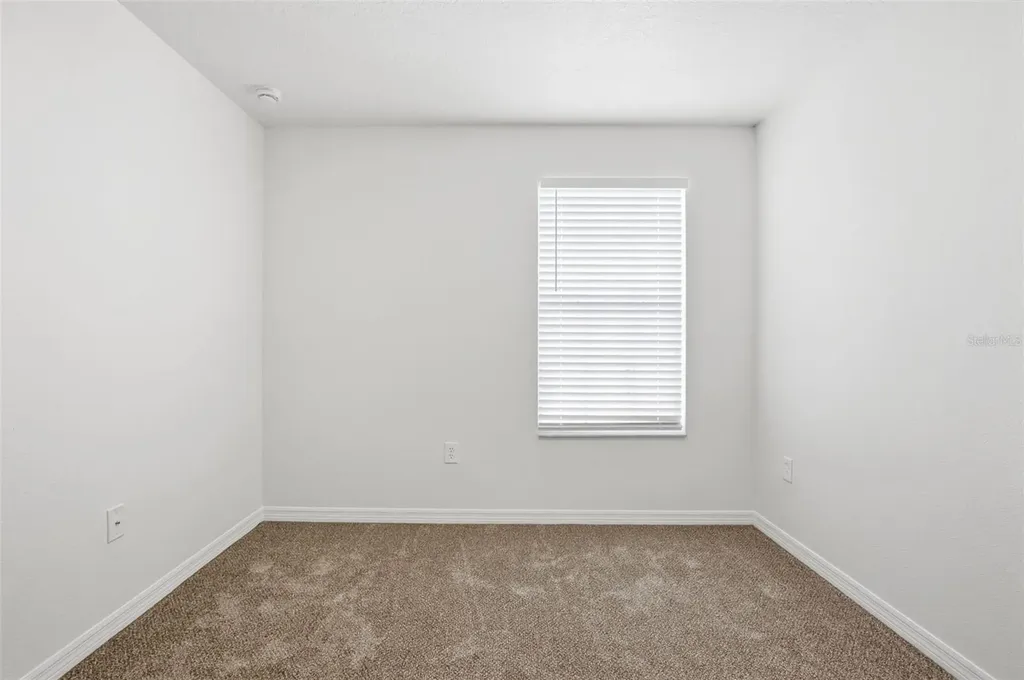 20506 Carolina Cherry Court Tampa FL 33647