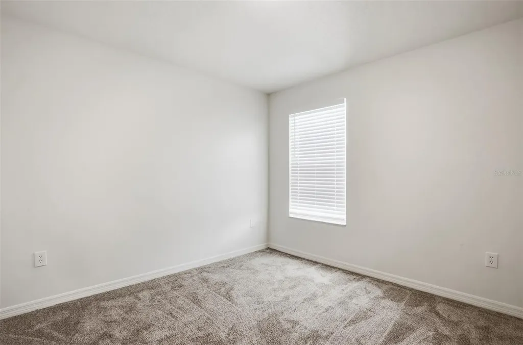20506 Carolina Cherry Court Tampa FL 33647