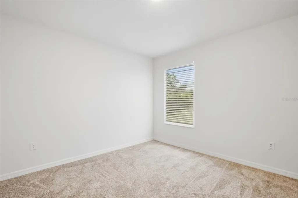 20506 Carolina Cherry Court Tampa FL 33647