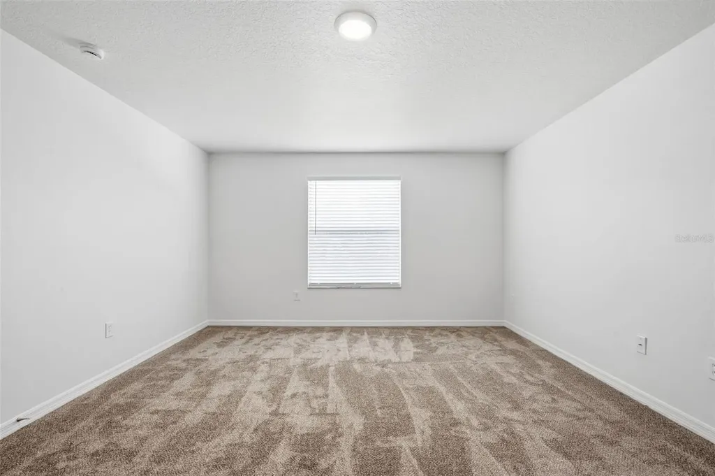 20506 Carolina Cherry Court Tampa FL 33647