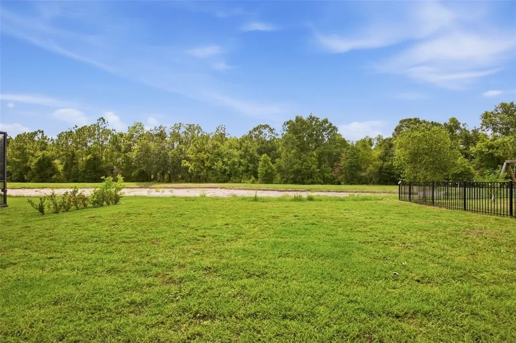 20506 Carolina Cherry Court Tampa FL 33647