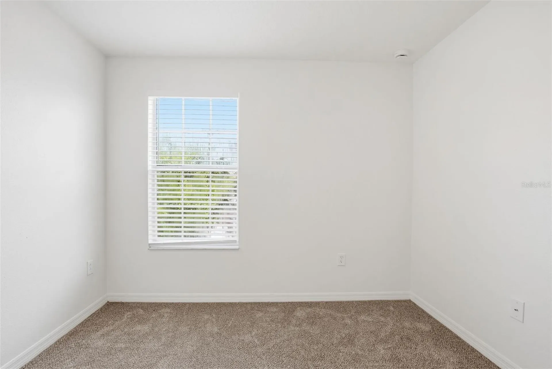 20506 Carolina Cherry Court Tampa FL 33647