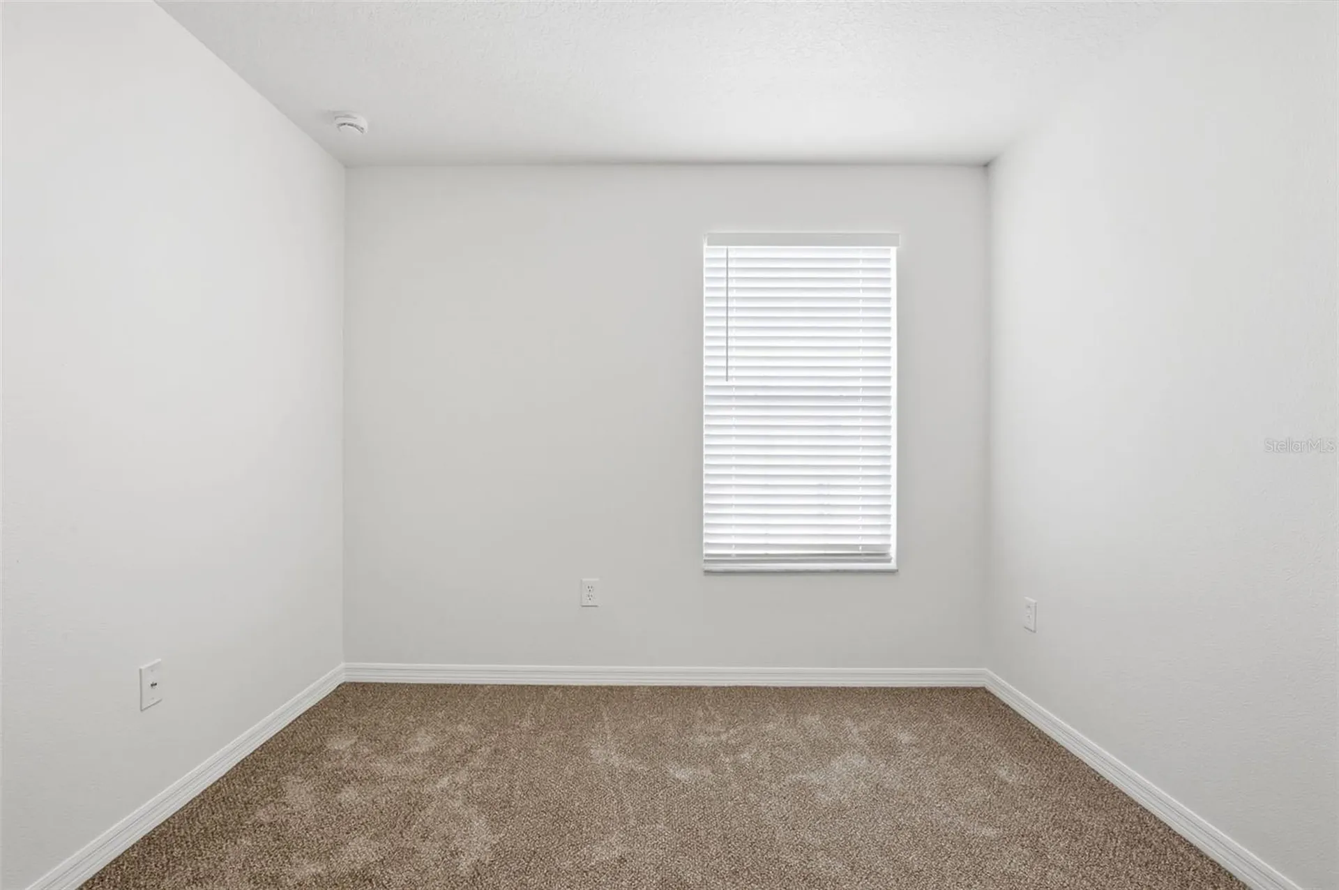 20506 Carolina Cherry Court Tampa FL 33647