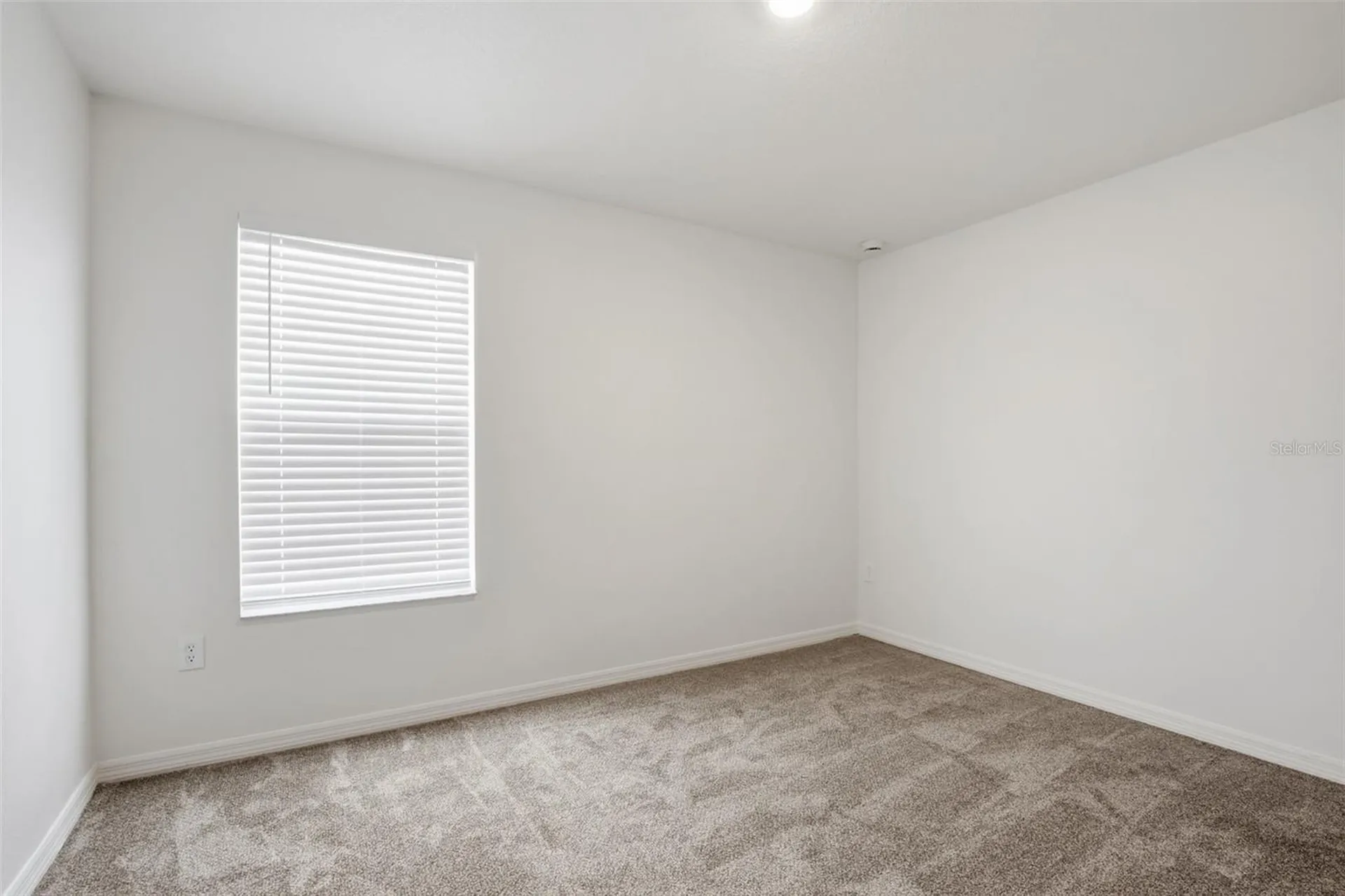 20506 Carolina Cherry Court Tampa FL 33647