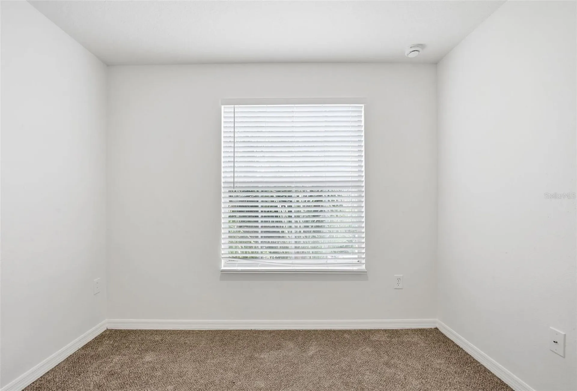 20506 Carolina Cherry Court Tampa FL 33647