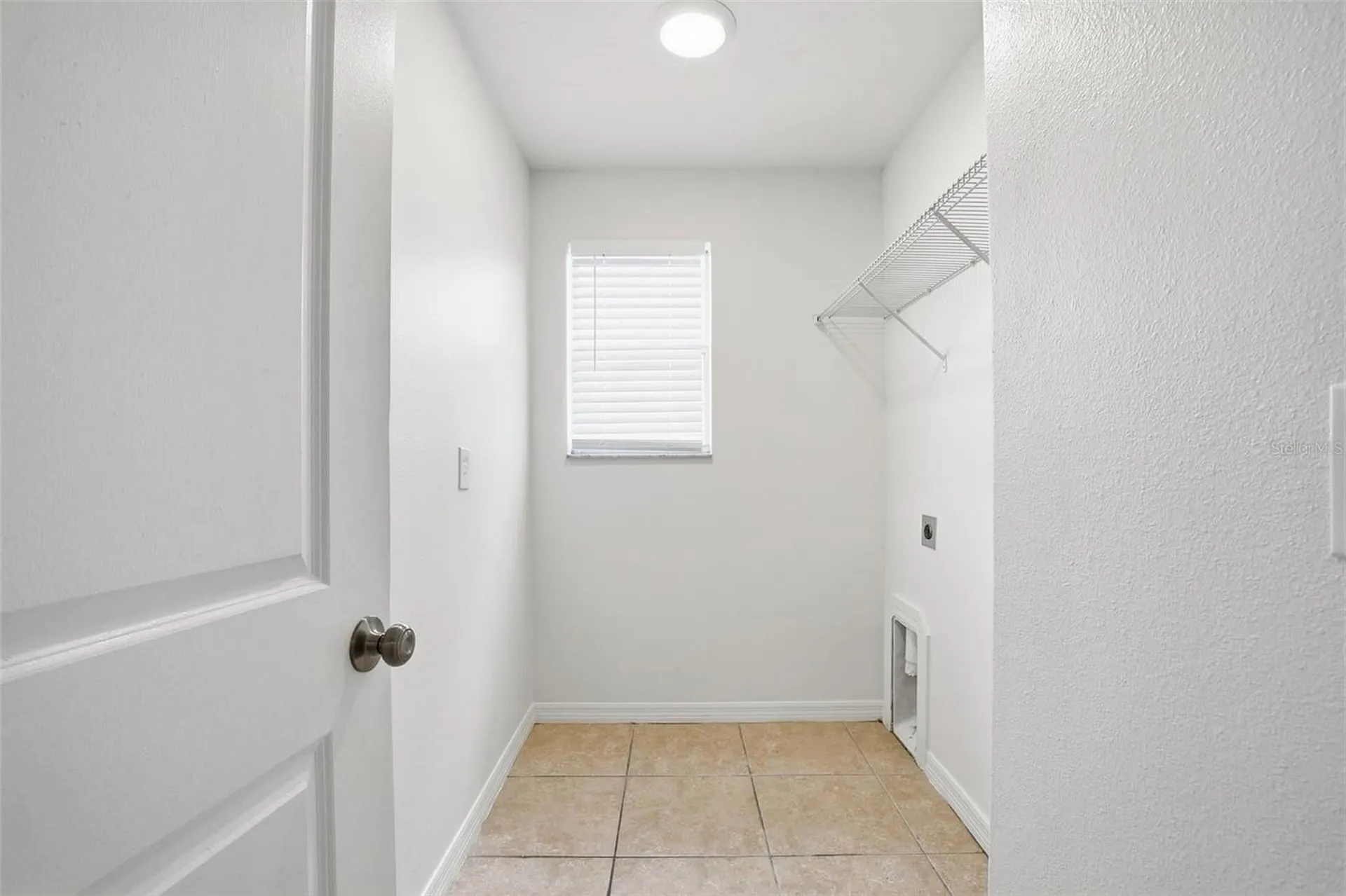 20506 Carolina Cherry Court Tampa FL 33647