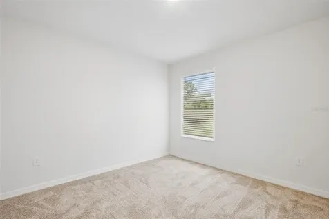 20506 Carolina Cherry Court Tampa FL 33647