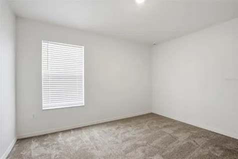 20506 Carolina Cherry Court Tampa FL 33647