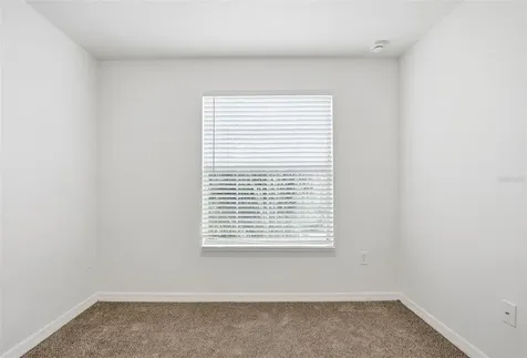 20506 Carolina Cherry Court Tampa FL 33647