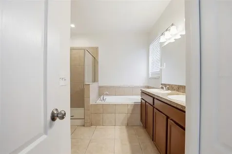 20506 Carolina Cherry Court Tampa FL 33647