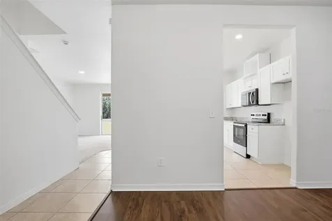 20506 Carolina Cherry Court Tampa FL 33647