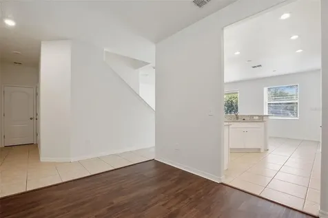 20506 Carolina Cherry Court Tampa FL 33647