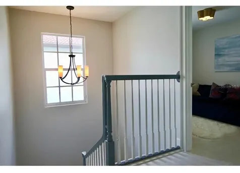 4316 W San Pedro Street Tampa FL 33629