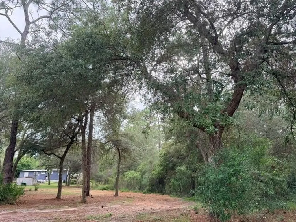 5275 SW 183rd Terrace Dunnellon FL 34432