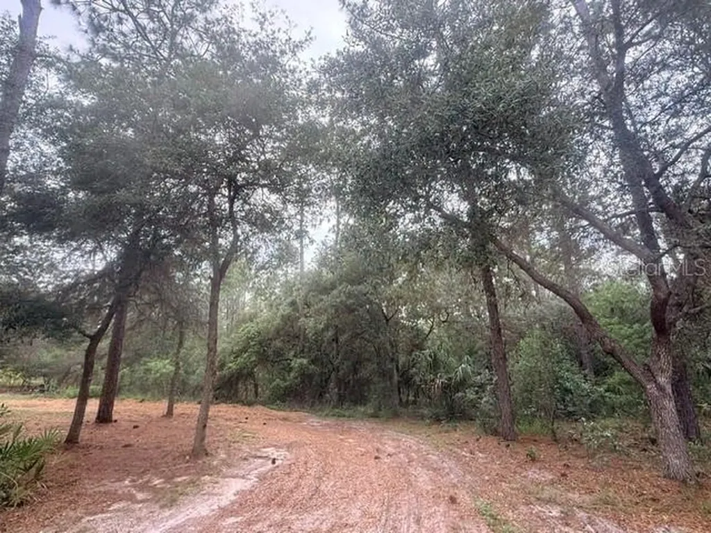 5275 SW 183rd Terrace Dunnellon FL 34432