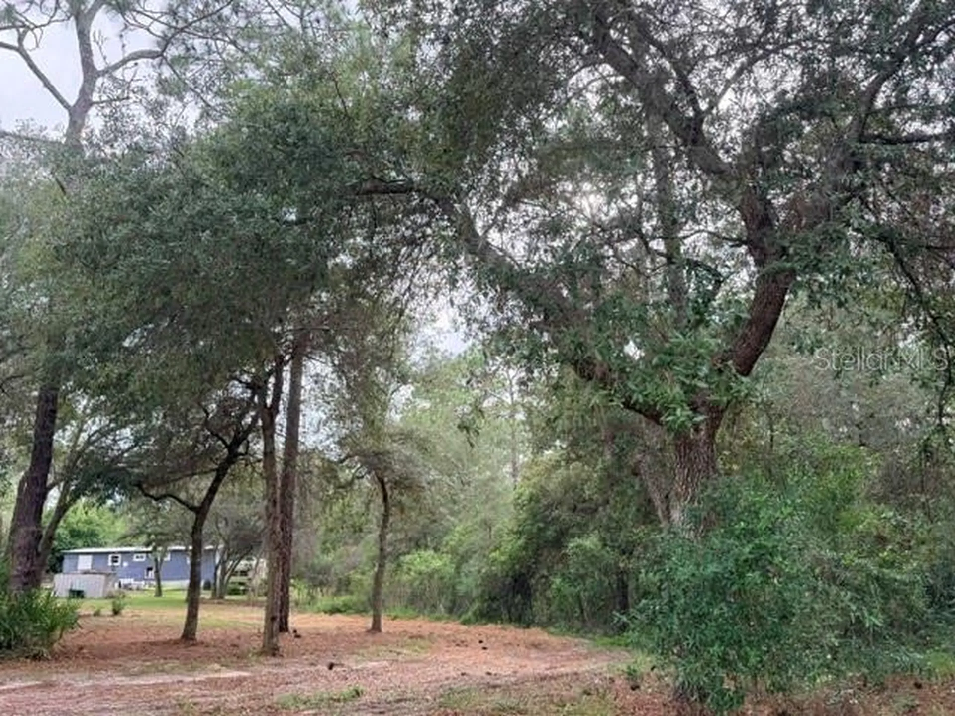 5275 SW 183rd Terrace Dunnellon FL 34432