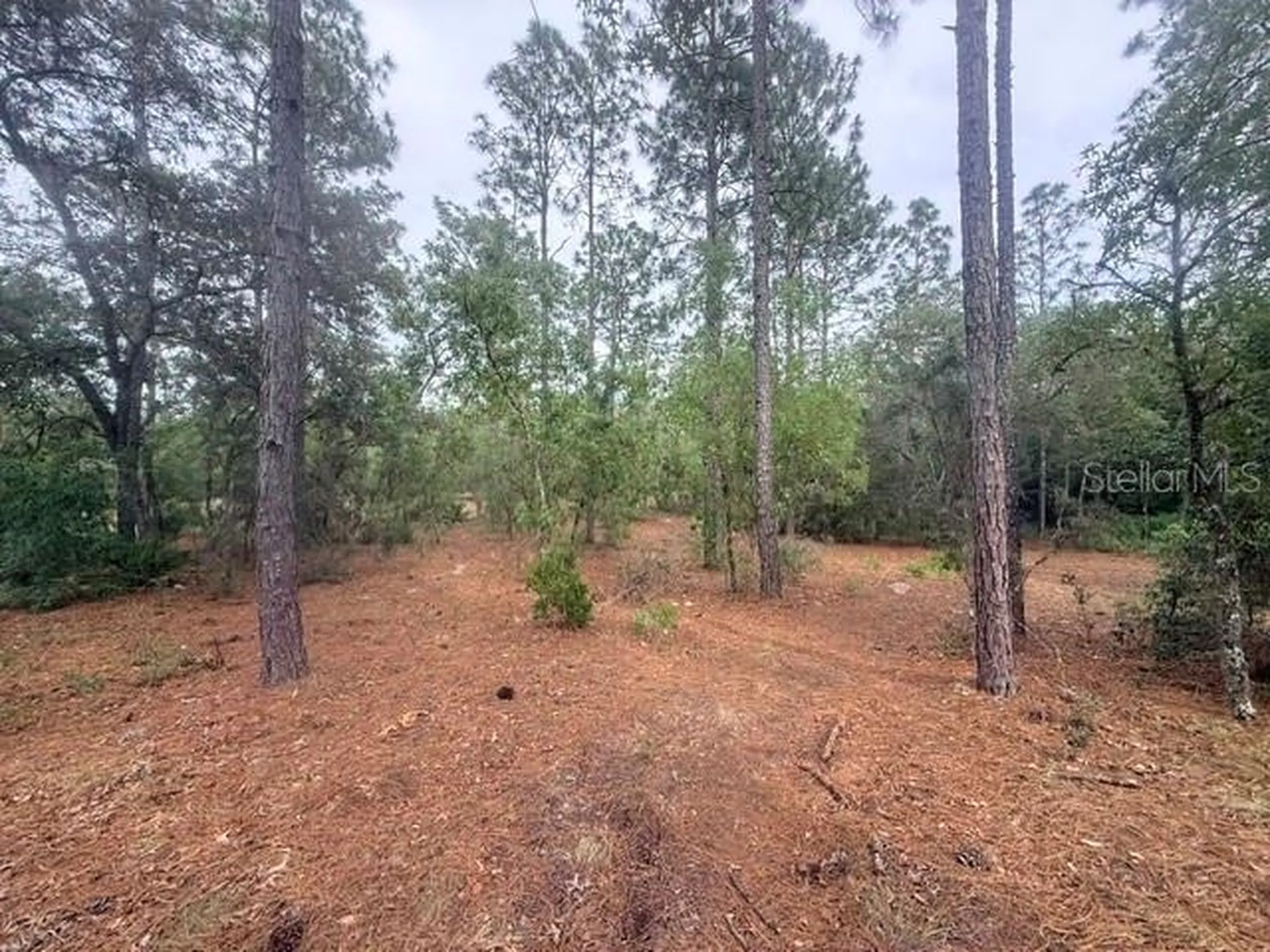 5275 SW 183rd Terrace Dunnellon FL 34432