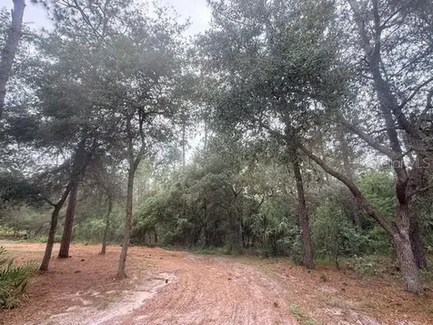 5275 SW 183rd Terrace Dunnellon FL 34432