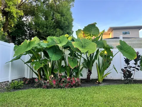 840 W Canton Avenue Winter Park FL 32789