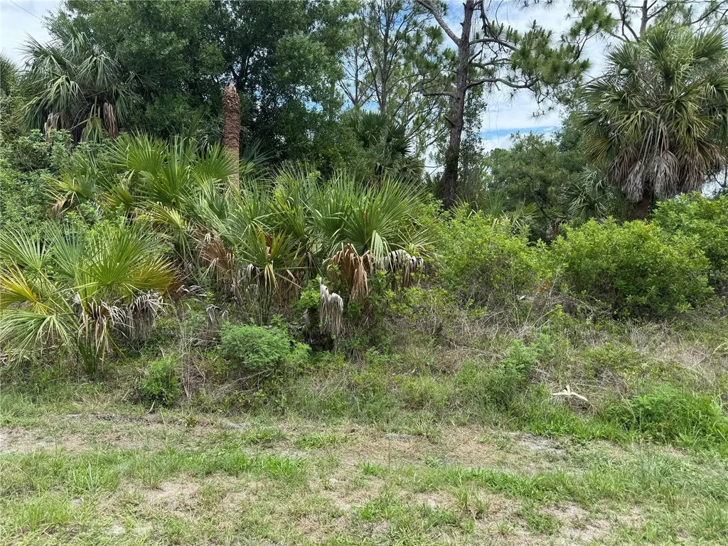 22404 Seyburn Terrace Port Charlotte FL 33954