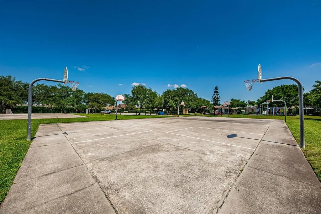1821 Alvara Place Trinity FL 34655