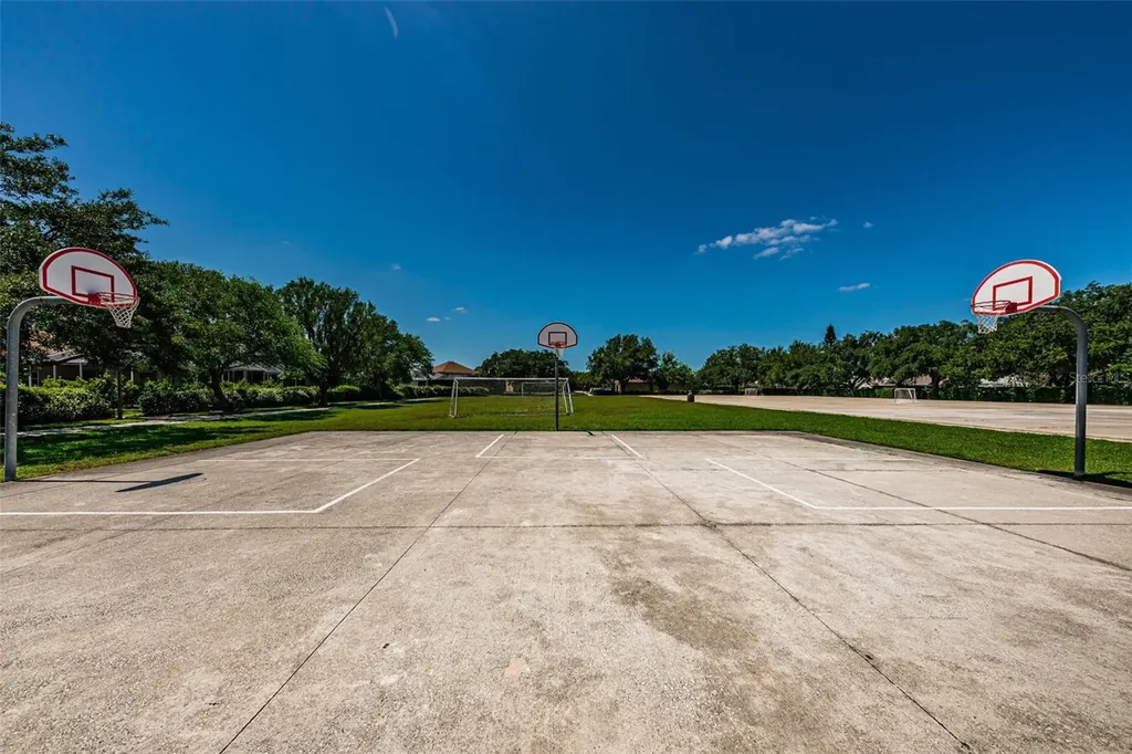 1821 Alvara Place Trinity FL 34655
