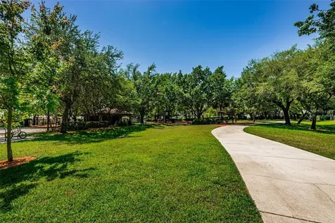 1821 Alvara Place Trinity FL 34655