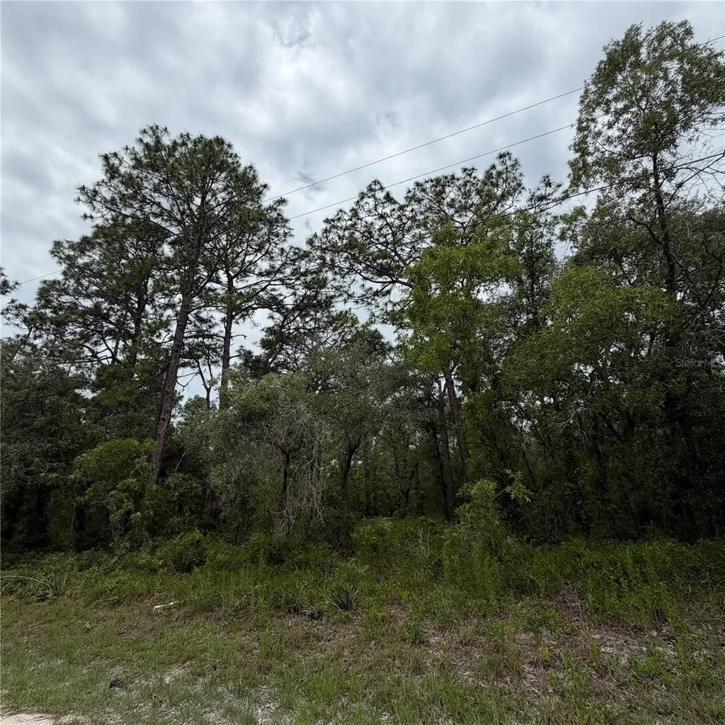 18011 Nutcracker Road Weeki Wachee FL 34614