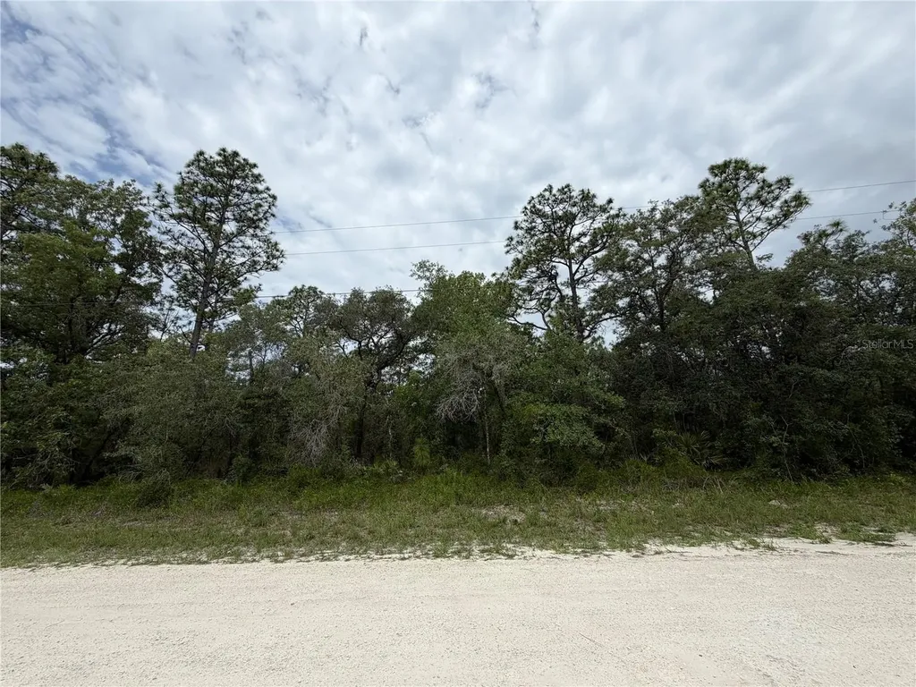 18011 Nutcracker Road Weeki Wachee FL 34614