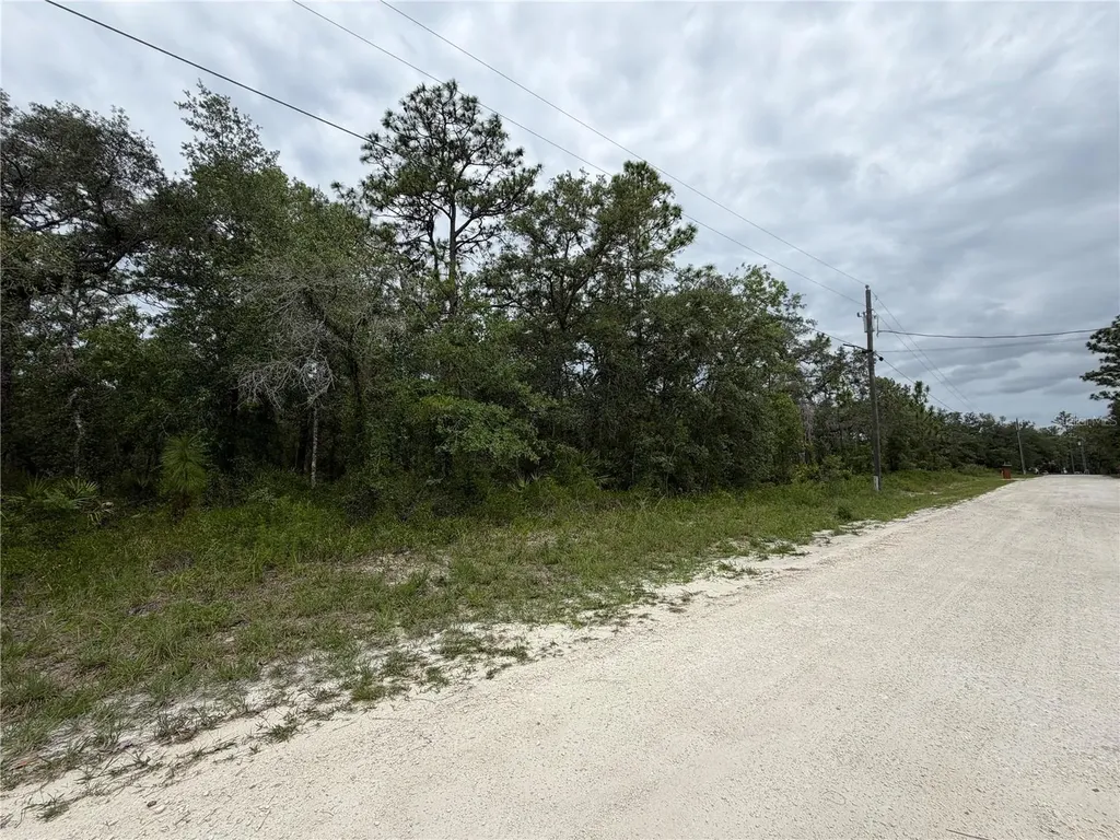 18011 Nutcracker Road Weeki Wachee FL 34614