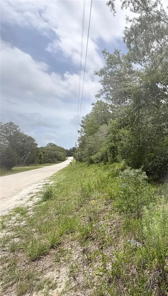 18011 Nutcracker Road Weeki Wachee FL 34614
