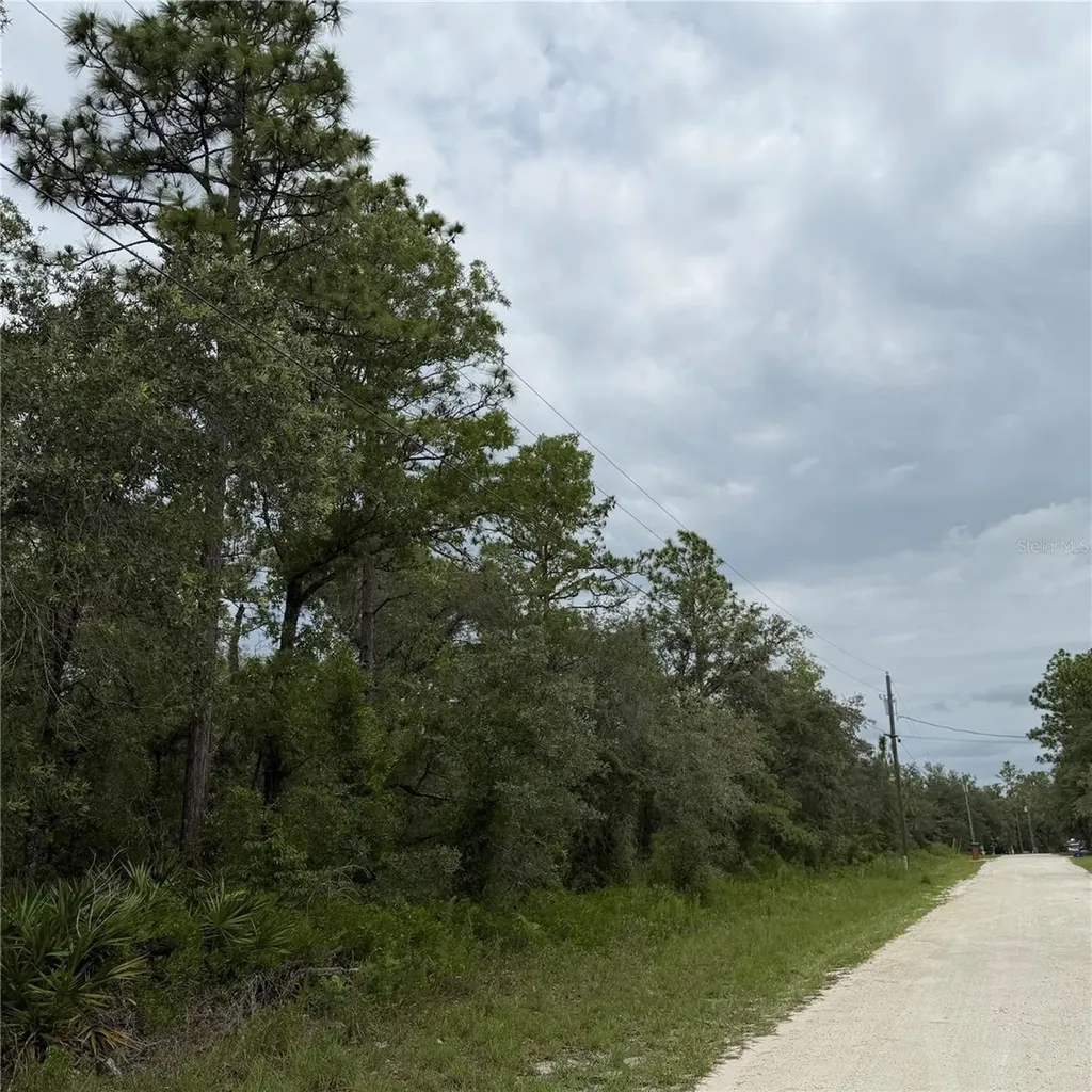 18011 Nutcracker Road Weeki Wachee FL 34614
